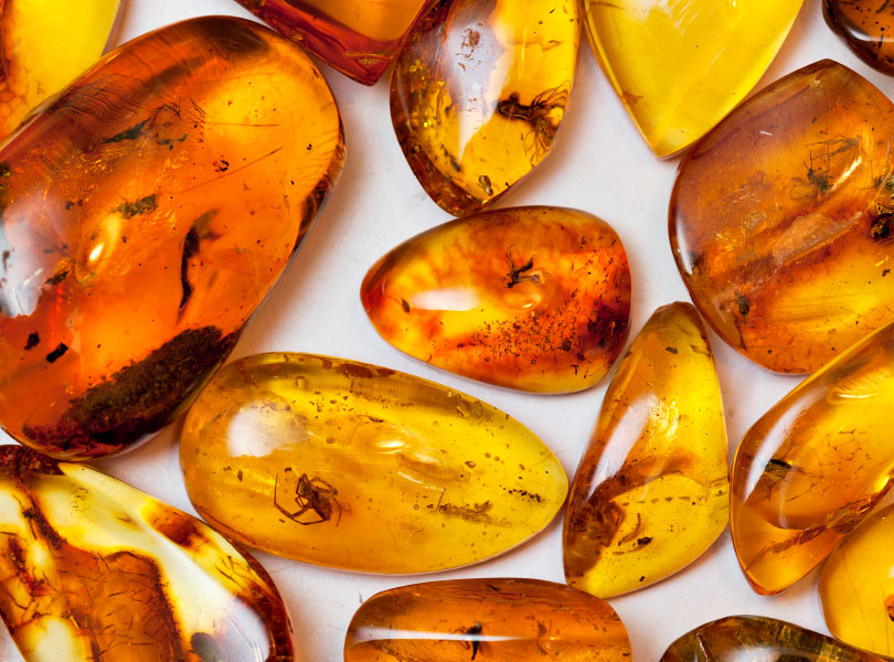 Amber Notes